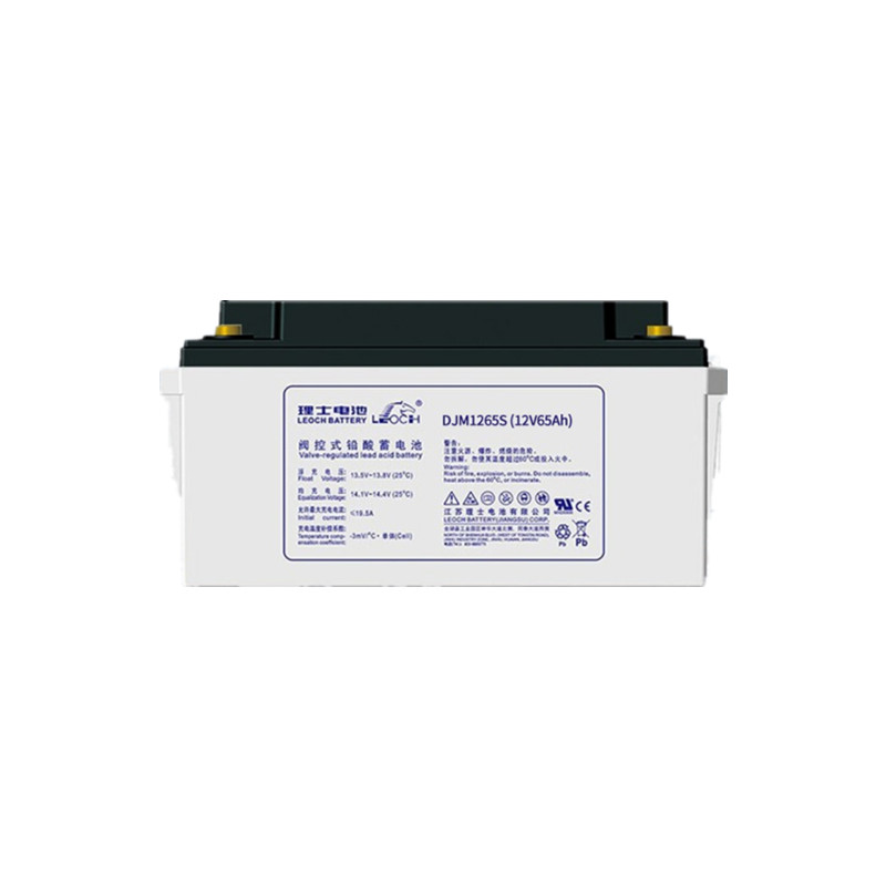 廊坊理士蓄电池DJM1265（12V65AH）